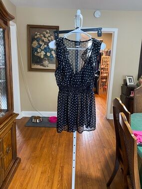 Sheer Black Polka Dot Ruffle Mini Dress